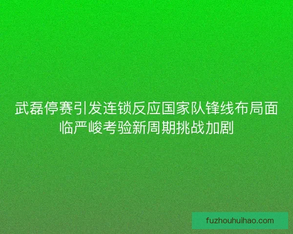 武磊停赛引发连锁反应国家队锋线布局面临严峻考验新周期挑战加剧