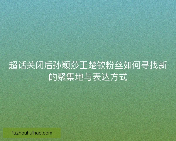 超话关闭后孙颖莎王楚钦粉丝如何寻找新的聚集地与表达方式