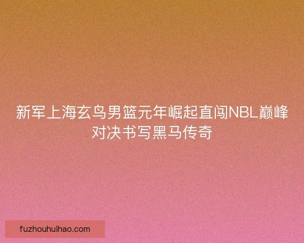 新军上海玄鸟男篮元年崛起直闯NBL巅峰对决书写黑马传奇 新军上海玄鸟男篮元年崛起直闯NBL巅峰对决书写黑马传奇